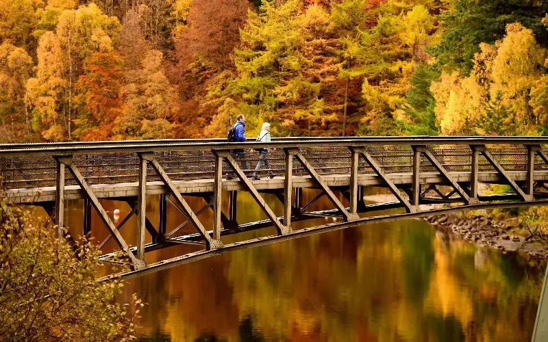Loch Faskally is known for its spectacular autumn foliage - Jeff J Mitchell/Getty Images