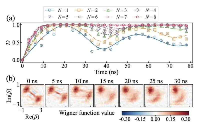 Experiment shows when quantum 'cat' states stop bouncing back