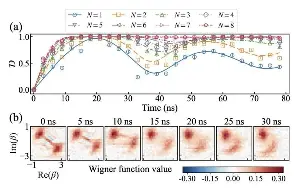 Experiment shows when quantum 'cat' states stop bouncing back