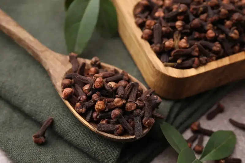 Clove is a warming spice valued for its antimicrobial properties. 