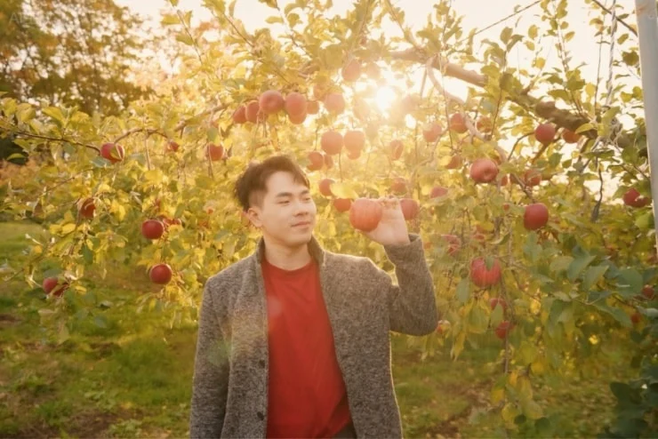 Experience picking Fuji apples at Maruhara Orchard.