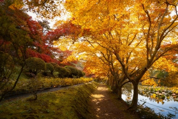 Blogger Phan Thế Anh was overwhelmed by the picturesque scenery in Fukushima.