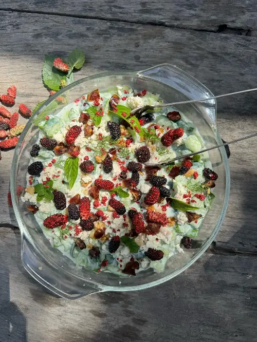 Smashed cucumber, feta, mulberry and date salad
