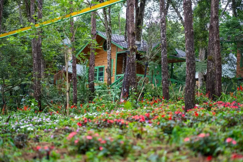 The treehouse complex in Mang Den has been nominated for the Best Tourist Village in the World - Photo 9.