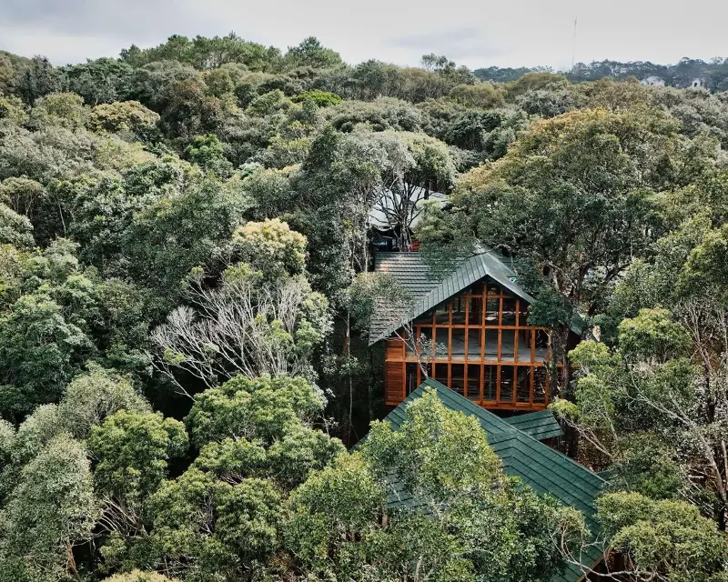 The treehouse complex in Mang Den has been nominated for the Best Tourist Village in the World - Photo 4.