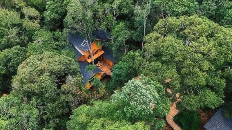 The treehouse complex in Mang Den has been nominated for the Best Tourist Village in the World - Photo 3.