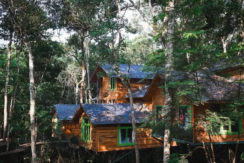 The treehouse complex in Mang Den has been nominated for the Best Tourist Village in the World - Photo 1.