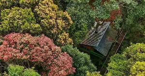 The treehouse village in Mang Den has been nominated for the Best Tourist Village in the World.