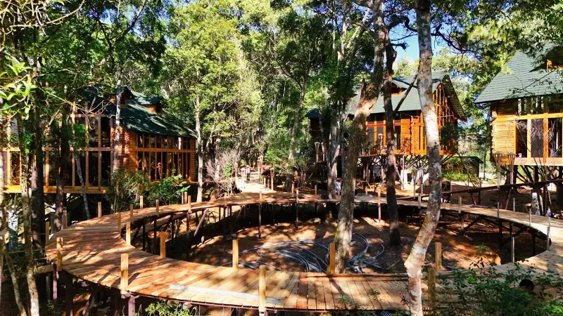 The treehouse complex in Mang Den has been nominated for the World's Best Tourist Village - Photo 7.