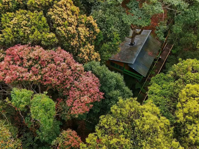 The treehouse complex in Mang Den has been nominated for the World's Best Tourist Village - Photo 2.