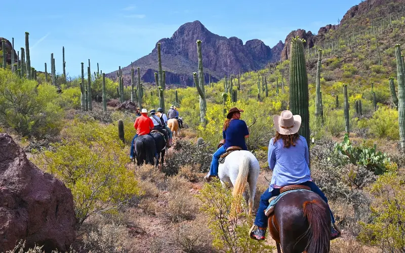 Riding at White Stallion Ranch in Tucson, Arizona, makes for a memorable desert adventure - Alamy/Only France