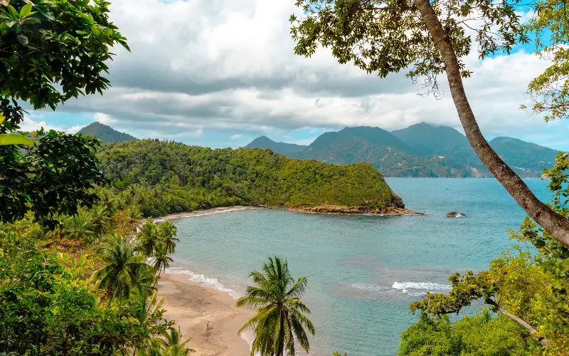 Dominica offers a quieter Caribbean escape, with volcanic mountains, lush rainforests and an abundance of outdoor adventure - Ulrich Hollmann