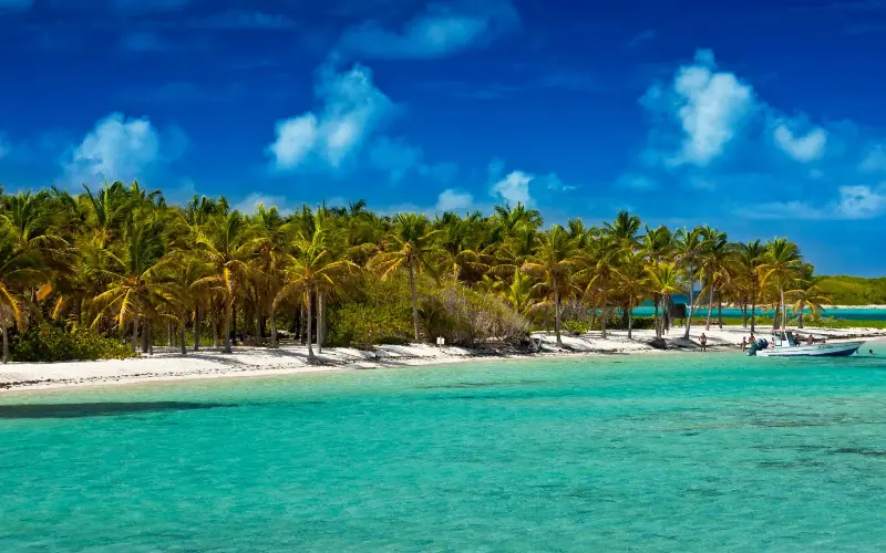 Some of the world’s best diving awaits off the island of La Petite Terre in Guadeloupe - Atlantide Phototravel
