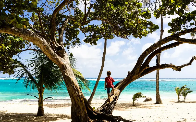 Plage de la Feuillère in Marie-Galante, Guadeloupe, is a tranquil alternative to the Caribbean’s busier beach resorts - Photononstop RF/Severine Baur