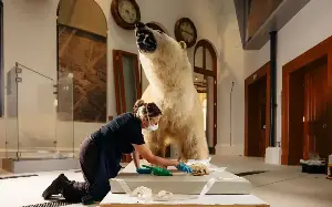 Polar bears in Hull? This £20m revamped museum is well worth the trip