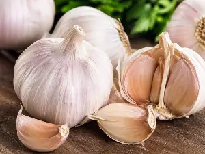 How does eating garlic help control blood sugar?