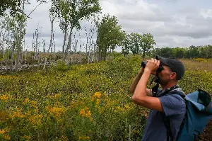 Forest Preserves of Cook County spent extra $40 million yearly on expanded conservation, maintenance