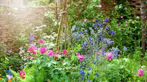 The Best Natural Supports for Tall Perennials – Sustainable Stakes That Look Good in Borders