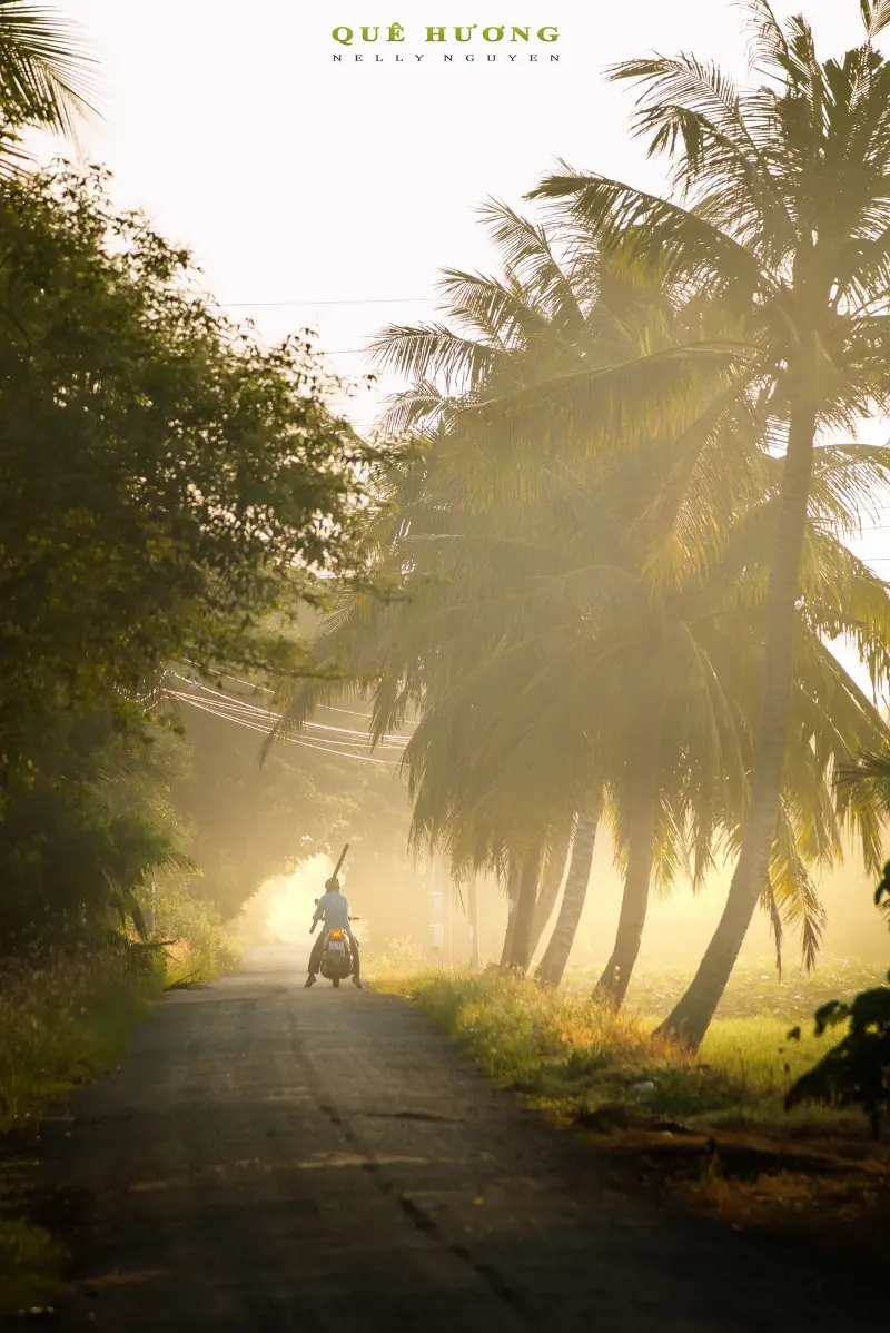 MORNINGS IN THE THẤT SƠN REGION - Photo 3.