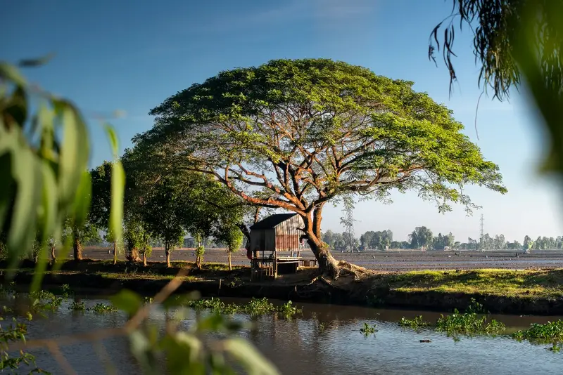 MORNINGS IN THE THẤT SƠN REGION - Photo 4.