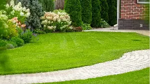 The 30-Minute Lawn Reset Gardeners Swear by in May: For Faster, Healthier Growth Almost Immediately