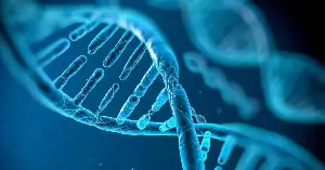 Differences in gene activity between male and female brain cells have been revealed.