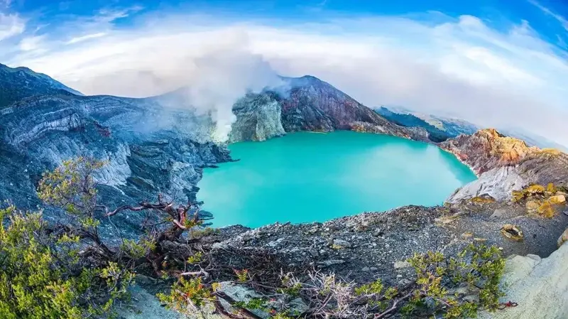 Indonesia's 