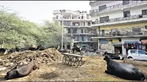 48 Delhi villages move a step closer to being declared urban