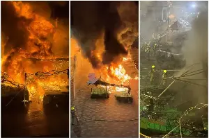 Market fire in south London believed to be caused by faulty fridge