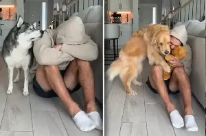 Dog owner tests his pets' emotional support by pretending to be sad – and they fail miserably!