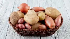 Everyday explained: Why you have to stop storing onions and potatoes together