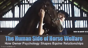 Can Horse Owners' Personalities Affect Horse Welfare?
