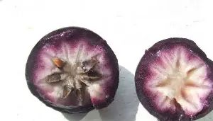 Season's bounty: Best way to enjoy Caimito this summer