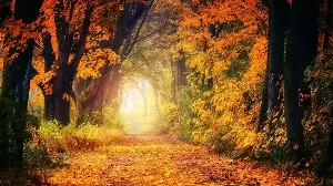 Summer has passed, and autumn has arrived: An astrologer has a different way to look at time