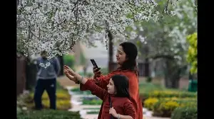 With 1.8 M flowers, Kashmir’s iconic Tulip Garden to open early this spring