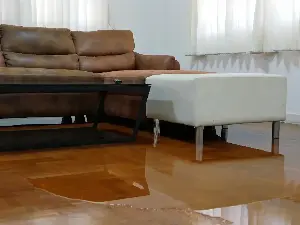 Ask Angi: How can homeowners prepare for and recover from severe weather?