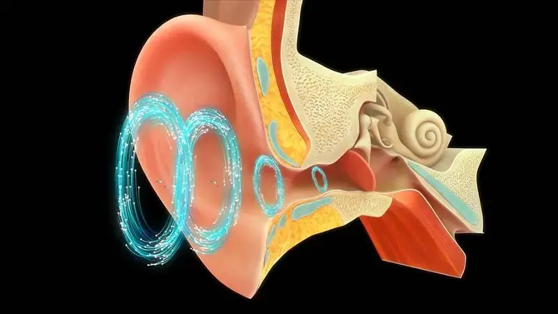 Diagram of ear against black background