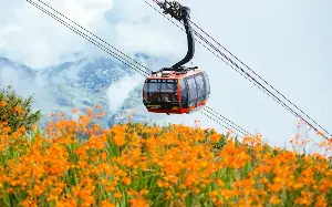 A decade of the Fansipan cable car: From a miracle on the Hoang Lien mountain peak to a driving force for elevating Sa Pa tourism.