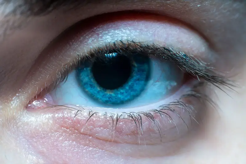 Macro close-up of a blue human eye.