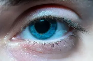 Everyone with ordinary inherited blue eyes appears to share a common ancestor, probably someone who lived around 6,000 to 10,000 years ago, when a tiny genetic switch near the OCA2 gene reduced brown pigment in the iris — meaning blue eyes, as we know them today, may trace back to one ancient mutation.
