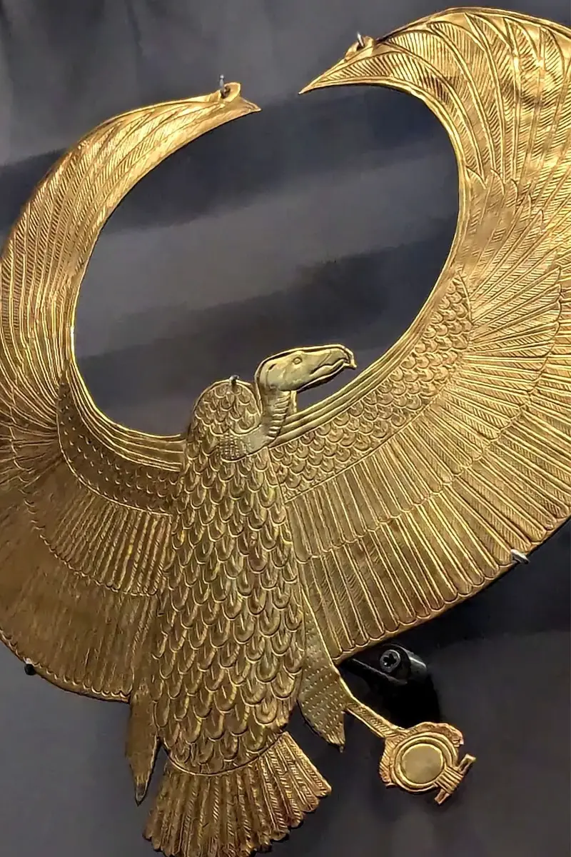 Visitors were impressed by the image of a vulture from the Valley of the Kings appearing in gallery 8.