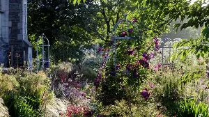 Experts Reveal the March Garden Mistake that Could Reduce the Number of Bees in Your Yard – Here's How to Avoid It