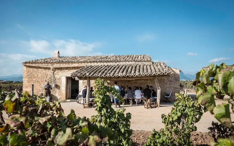 Bodegas Ribas, the oldest winery in Spain, is located in Majorca’s agricultural heartland - Santiago Stankovic
