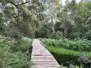 Maura Fox: Celebrate spring with these 5 San Diego County nature preserves