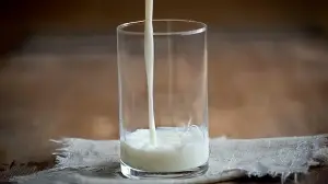 What is in the milk you give your children?
