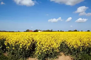 The prettiest Norfolk villages to visit this spring