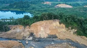 How Deforestation Weakens Local Species' Genetic Strength