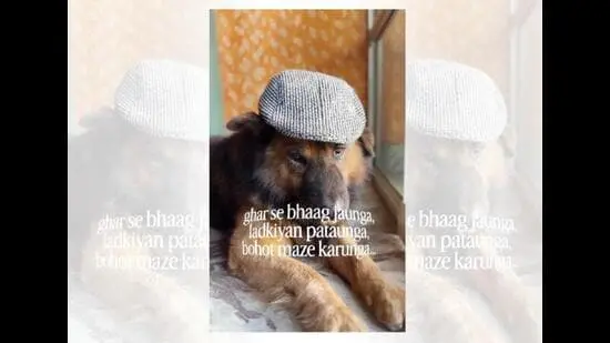 Tofu from Manipur fled home to meet some ladies and got roughed up along the way. (INSTAGRAM/@TOFUISSWAGG)