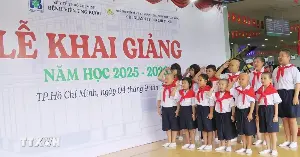 "An extended arm" alleviates the suffering of cancer patients.