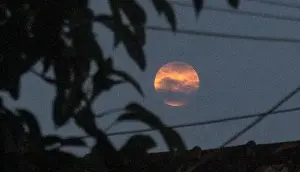 Strawberry Moon to Peak on June 29: Best Time and Places to Watch